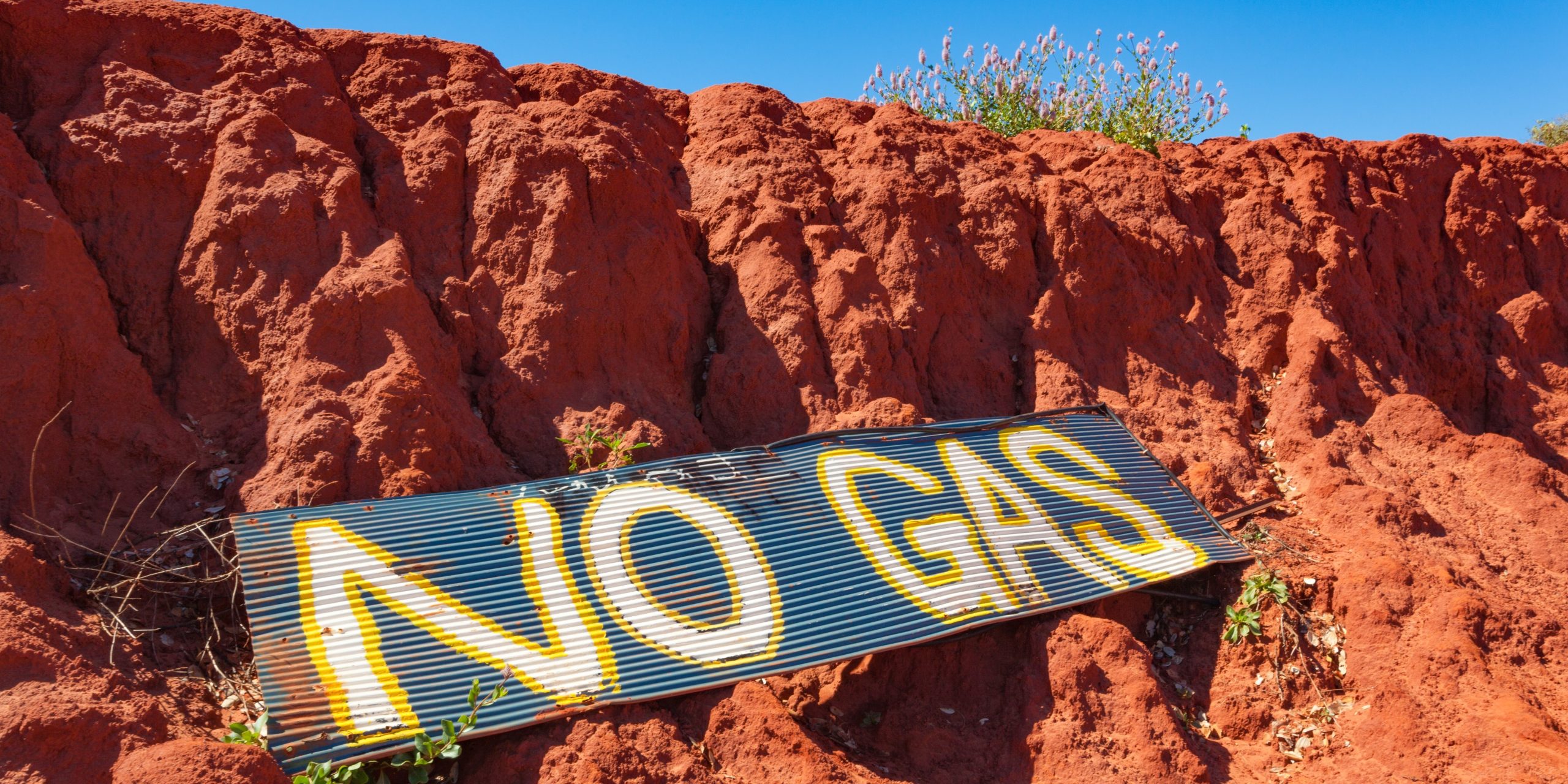 Litigating against the Federal Environment Minister!