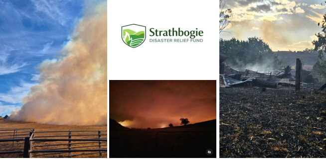 Strathbogie Disaster Relief Fund: A rapid, community-led response