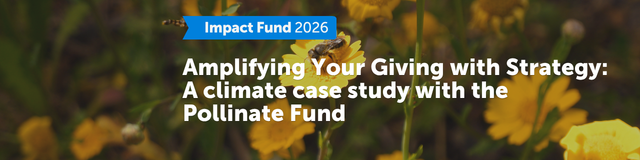 Amplifying Your Giving with Strategy: A climate case study with the Pollinate Fund