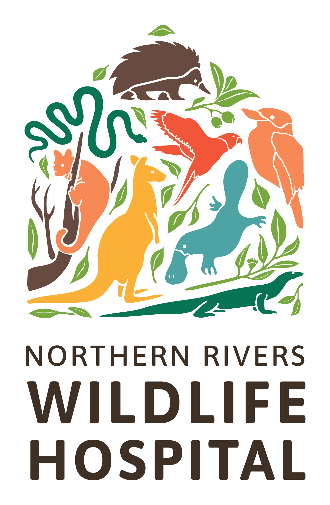 Northern Rivers Wildlife Hospital