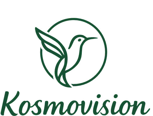 Kosmovision Foundation